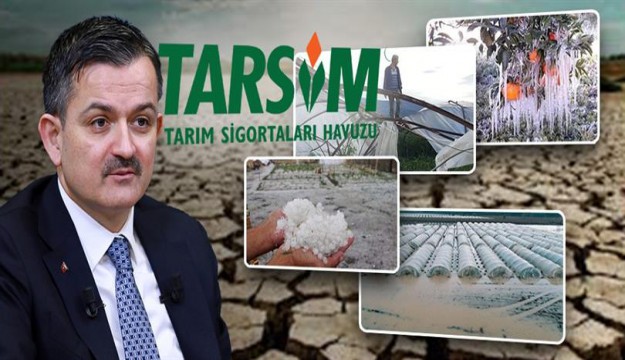Çiftçilere 780 Milyon Lira Hasar Tazminatı Ödenecek