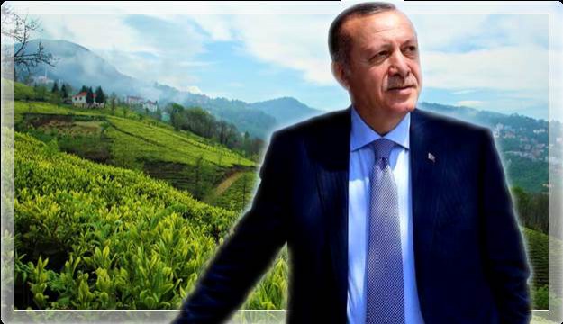 ​Cumhurbaşkanı Erdoğan Pazartesi Günü Yaş Çay Taban Fiyatını Açıklayacak
