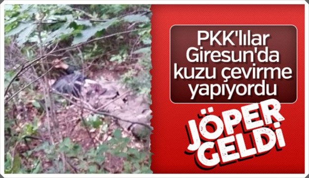 Giresun'daki PKK operasyonunun ayrıntıları