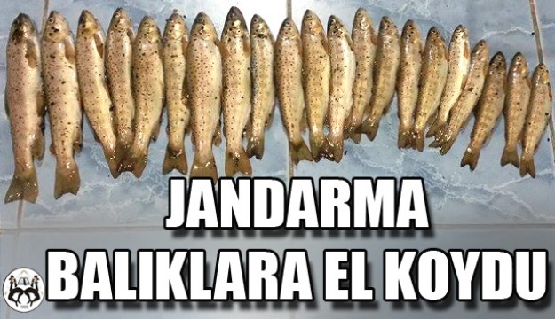 JANDARMA ALABALIKLARA EL KOYDU