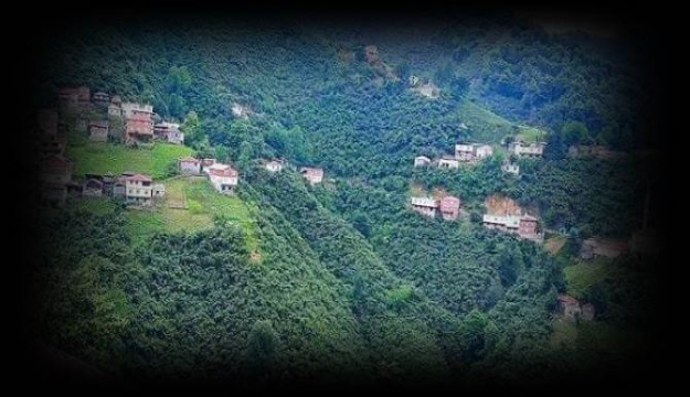 Tirebolu’nun Arslancık Köyü Mutant Virüs Karantinasına Alındı